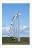 Windmills, Wallula, Washington by Anonymous