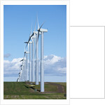 Windmills, Wallula, Washington by Anonymous