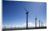 Windmills, Wallula, Washington by Anonymous