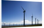 Windmills, Wallula, Washington by Anonymous