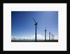 Windmills, Wallula, Washington by Anonymous