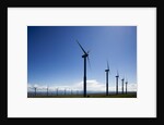 Windmills, Wallula, Washington by Anonymous