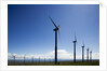 Windmills, Wallula, Washington by Anonymous