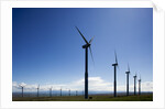 Windmills, Wallula, Washington by Anonymous