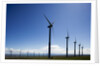 Windmills, Wallula, Washington by Anonymous