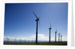 Windmills, Wallula, Washington by Anonymous