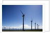 Windmills, Wallula, Washington by Anonymous