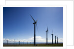 Windmills, Wallula, Washington by Anonymous