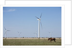Wind Farm, Vega, Texas by Anonymous