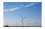 Wind Farm, Vega, Texas by Anonymous