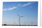 Wind Farm, Vega, Texas by Anonymous