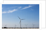 Wind Farm, Vega, Texas by Anonymous