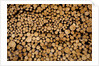 Log Pile at Sawmill, Gulliver, Michigan by Anonymous