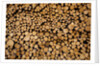 Log Pile at Sawmill, Gulliver, Michigan by Anonymous