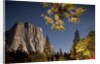 Yosemite National Park, California by Anonymous