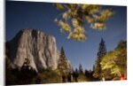 Yosemite National Park, California by Anonymous