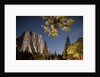 Yosemite National Park, California by Anonymous