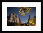 Yosemite National Park, California by Anonymous