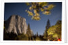 Yosemite National Park, California by Anonymous