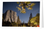 Yosemite National Park, California by Anonymous