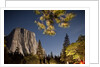 Yosemite National Park, California by Anonymous