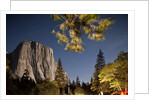 Yosemite National Park, California by Anonymous