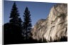 Yosemite National Park, California by Anonymous