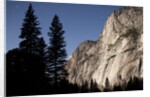 Yosemite National Park, California by Anonymous