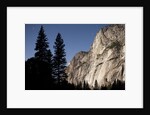 Yosemite National Park, California by Anonymous