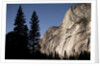 Yosemite National Park, California by Anonymous