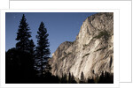Yosemite National Park, California by Anonymous