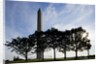 Washington Monument, Washington, DC by Anonymous