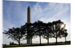Washington Monument, Washington, DC by Anonymous