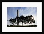Washington Monument, Washington, DC by Anonymous