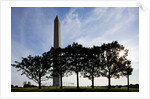 Washington Monument, Washington, DC by Anonymous
