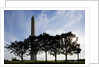 Washington Monument, Washington, DC by Anonymous
