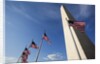 Washington Monument, Washington, DC by Anonymous