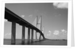 Cable-Stayed Bridge, Brunswick, Georgia by Anonymous