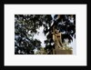 Bonaventure Cemetery, Savanna, Georgia by Anonymous