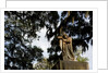 Bonaventure Cemetery, Savanna, Georgia by Anonymous