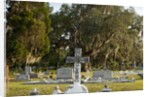 Bonaventure Cemetery, Savanna, Georgia by Anonymous