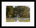 Bonaventure Cemetery, Savanna, Georgia by Anonymous