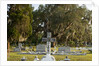 Bonaventure Cemetery, Savanna, Georgia by Anonymous
