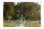 Bonaventure Cemetery, Savanna, Georgia by Anonymous