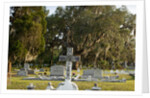 Bonaventure Cemetery, Savanna, Georgia by Anonymous
