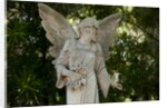 Bonaventure Cemetery, Savannah, Georgia by Anonymous
