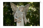 Bonaventure Cemetery, Savannah, Georgia by Anonymous