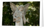 Bonaventure Cemetery, Savannah, Georgia by Anonymous