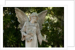 Bonaventure Cemetery, Savannah, Georgia by Anonymous