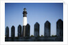 Tybee Lighthouse, Georgia by Anonymous